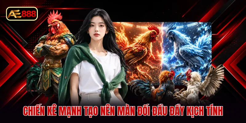Chiến kê mạnh tạo nên màn đối đầu đầy kịch tính